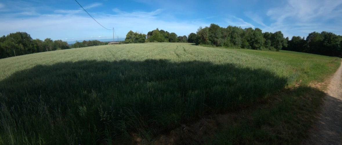 Photos 5 - Agricole - A vendre - Roybon (38940) – 3 parcelles de terrain agricole avec potentiel de loisirs et d'activités nature