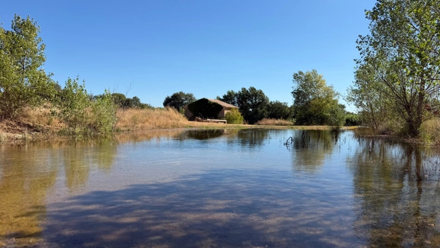 Photos 1 - Rurale - Terrain avec Mazet à vendre  LE POUGET (34), GIGNAC