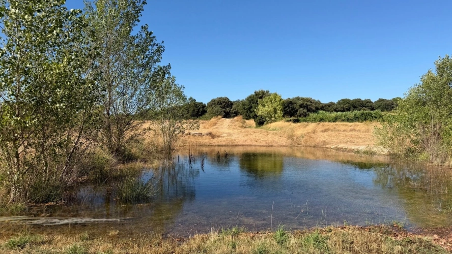 Photos 7 - Rurale - Terrain avec Mazet à vendre  LE POUGET (34), GIGNAC