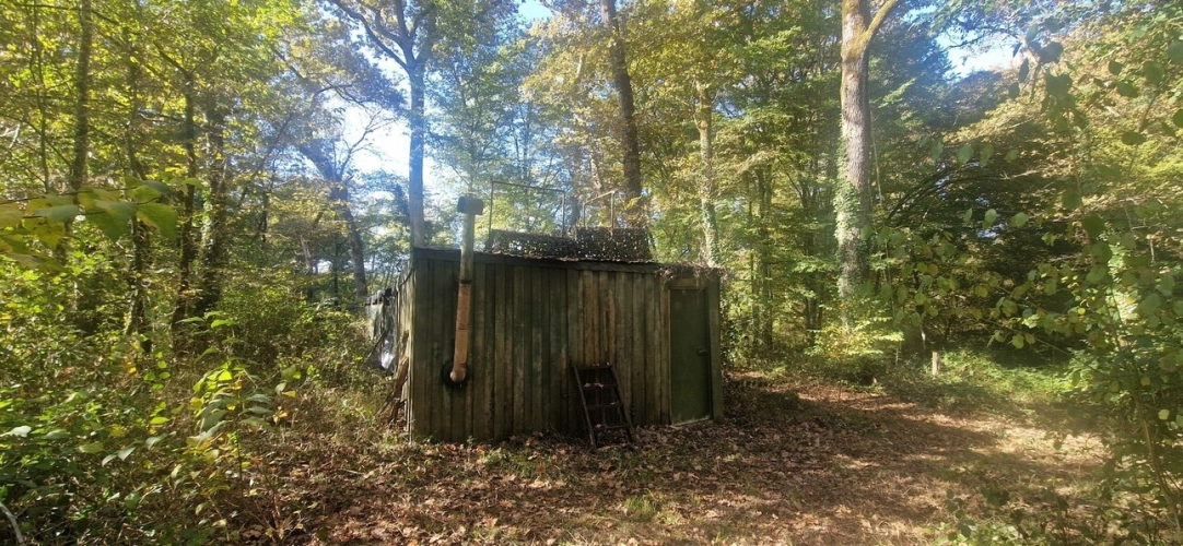 Photos 11 - Forestière - Bois à vendre, LAGRANGE (40)