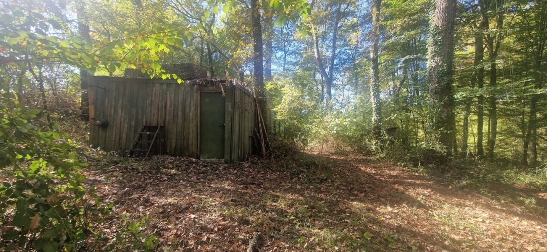 Photos 12 - Forestière - Bois à vendre, LAGRANGE (40)