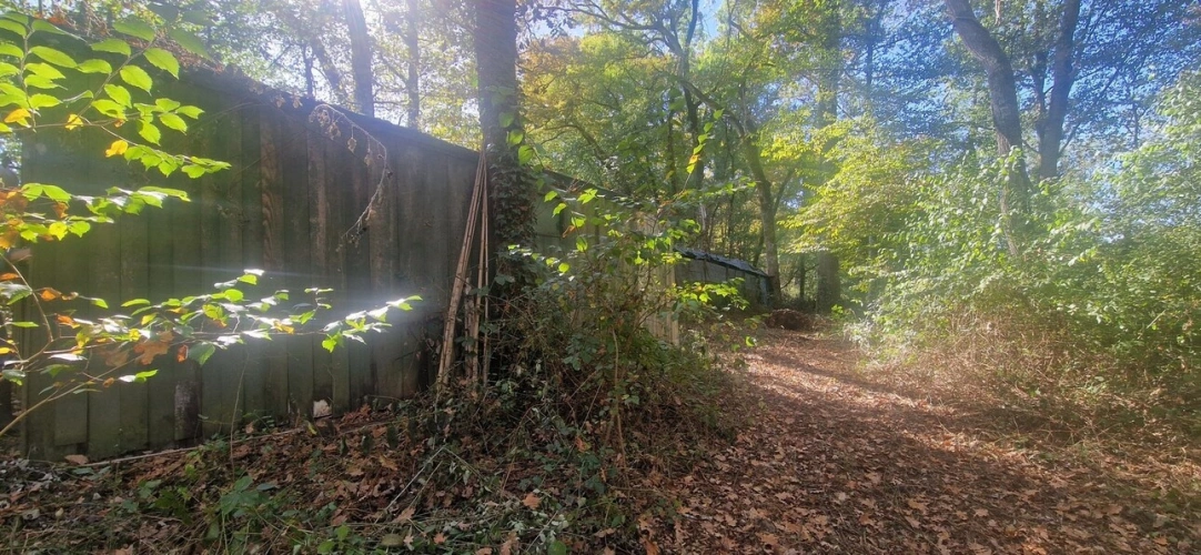 Photos 13 - Forestière - Bois à vendre, LAGRANGE (40)