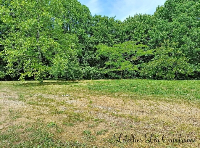 Photos 3 - Rurale - Propriété à vendre 5 pièces