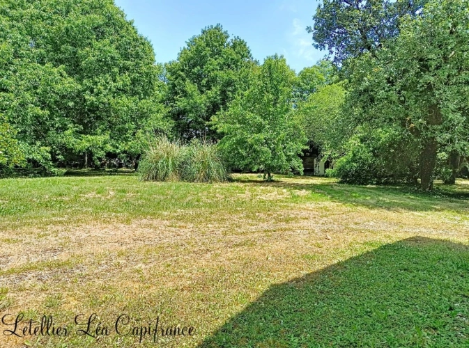 Photos 4 - Rurale - Propriété à vendre 5 pièces