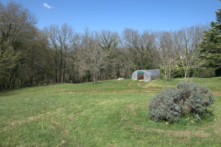 Photos 9 - Touristique - SAINT GENIES (24), vente propriété 277 m2 sur 4 ha, gîtes en activité