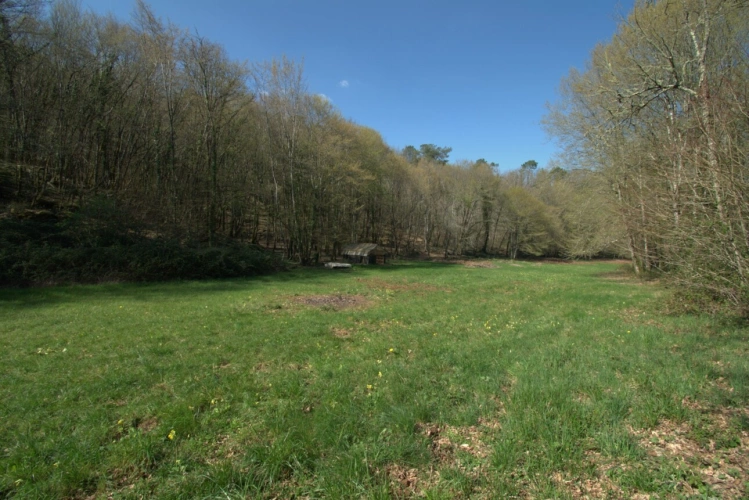 Photos 11 - Touristique - SAINT GENIES (24), vente propriété 277 m2 sur 4 ha, gîtes en activité