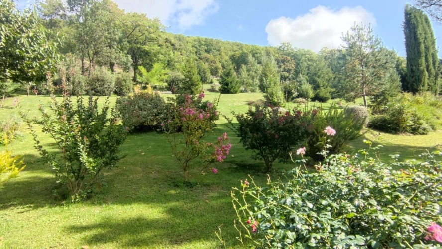 Photos 12 - Prestige - Propriété avec dépendances et parc paysagé
