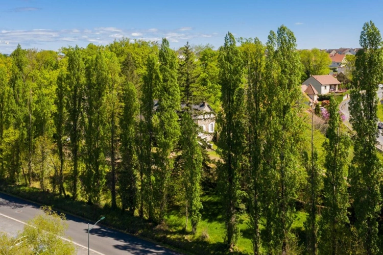 Photos 7 - Rurale - Demeure de caractère aux portes de Brive-la-Gaillarde - Secteur Saint-Pantaléon-de-Larche