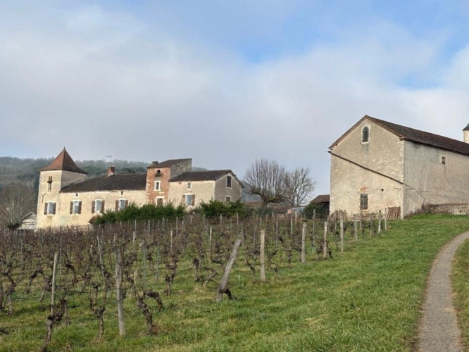 Photos 1 - Prestige - Ensemble en pierre à 5' de Cahors