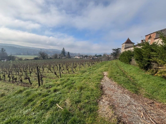 Photos 11 - Prestige - Ensemble en pierre à 5' de Cahors