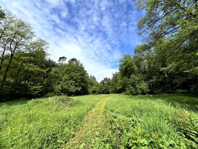 Photos 16 - Prestige - Magnifique Moulin du XVIIIe 1,6 Hectare de Sérénité avec Cours d'Eau