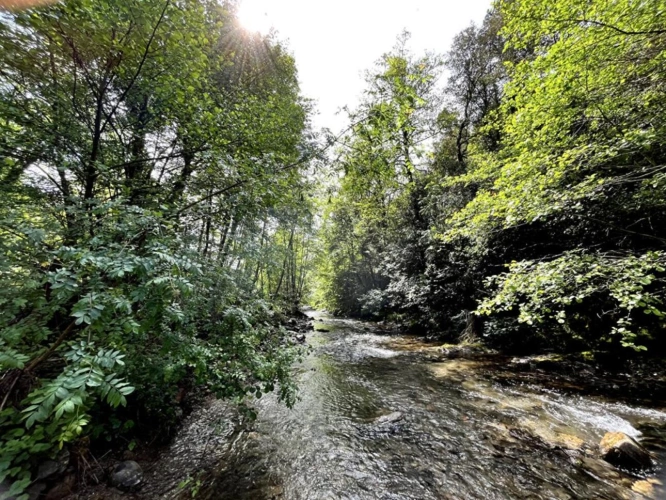 Photos 18 - Prestige - Magnifique Moulin du XVIIIe 1,6 Hectare de Sérénité avec Cours d'Eau