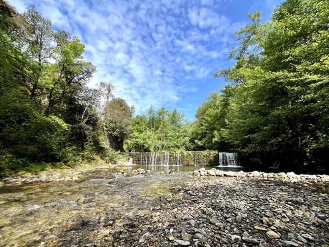 Photos 15 - Prestige - Magnifique Moulin du XVIIIe 1,6 Hectare de Sérénité avec Cours d'Eau