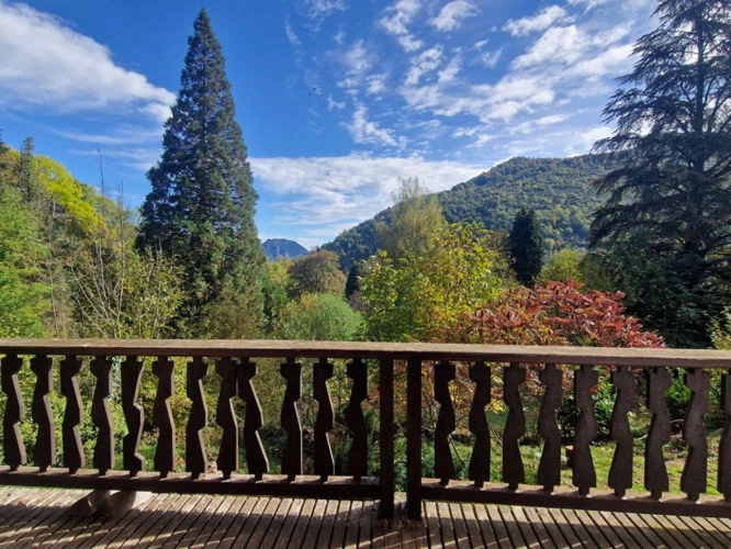 Photos 9 - Prestige - Maison type Chalet au calme et avec 1,3Ha attenant