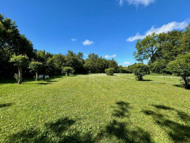 Photos 2 - Rurale - Charmante ferme rénovée avec gîtes, spa et camping