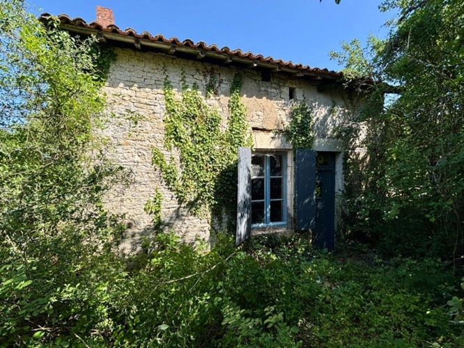Photos 2 - Rurale - Deux Maisons de Caractère Indépendantes, une Grange en Pierre et plus de 1,2 Hectare de Terrain