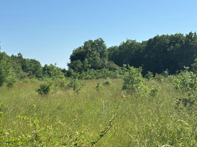 Photos 6 - Rurale - Deux Maisons de Caractère Indépendantes, une Grange en Pierre et plus de 1,2 Hectare de Terrain