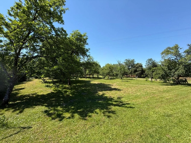 Photos 3 - Rurale - Belle Demeure de Caractère avec Plus de 5 000 m² de Terrain, Verger et Dépendances