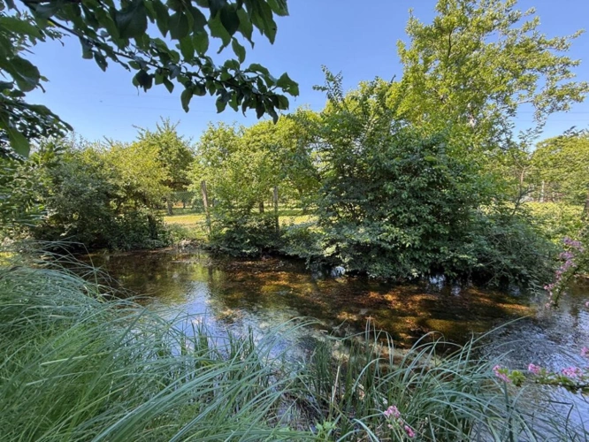Photos 17 - Rurale - Belle Demeure de Caractère avec Plus de 5 000 m² de Terrain, Verger et Dépendances