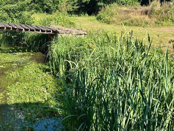 Photos 12 - Prestige - Une Propriété d'Exception au Bord de la Rivière avec de Superbes Vues, à Proximité de l'un des Plus Beaux Villages de la Charente
