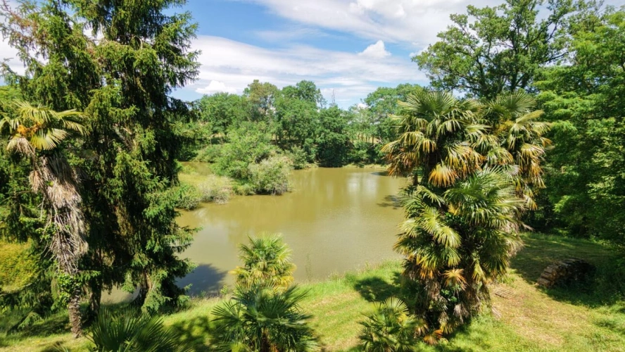 Photos 3 - Rurale - Propriété de caractère avec étang sur plus de 4 hectares