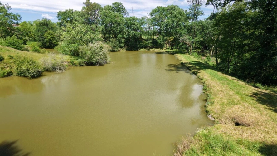 Photos 13 - Rurale - Propriété de caractère avec étang sur plus de 4 hectares