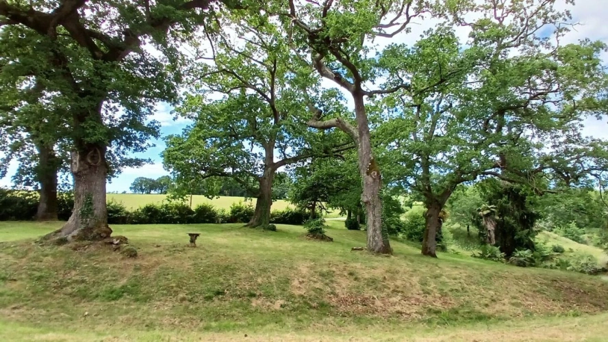 Photos 14 - Rurale - Propriété de caractère avec étang sur plus de 4 hectares