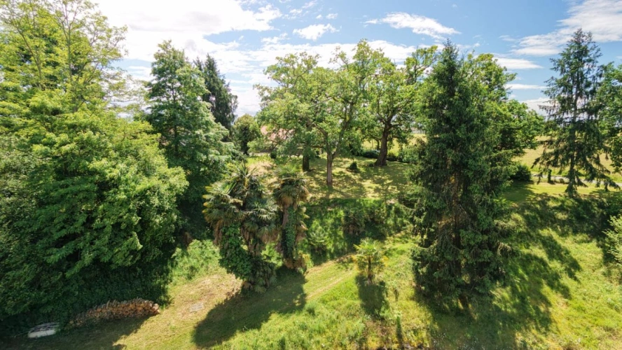 Photos 15 - Rurale - Propriété de caractère avec étang sur plus de 4 hectares