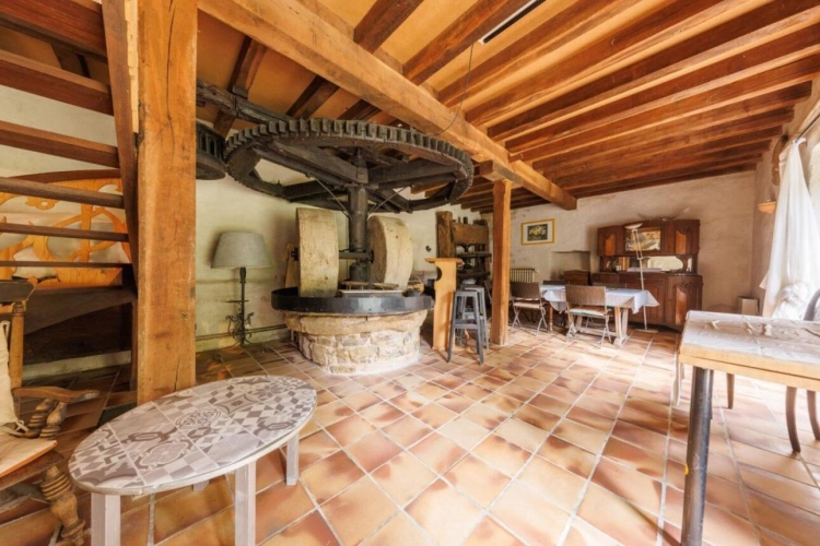 Photos 6 - Touristique - Moulin à eau de charme du XVIe siècle en Corrèze, cadre exceptionnel et potentiel rare