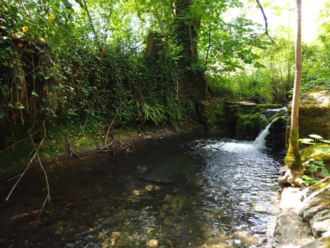 Photos 13 - Rurale - Moulin dans un hameau proche de Caylus