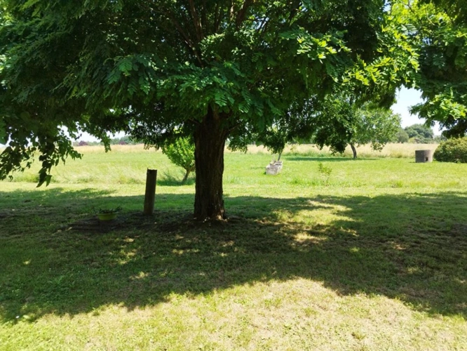 Photos 7 - Rurale - Ancienne ferme et ses dépendances avec 16ha