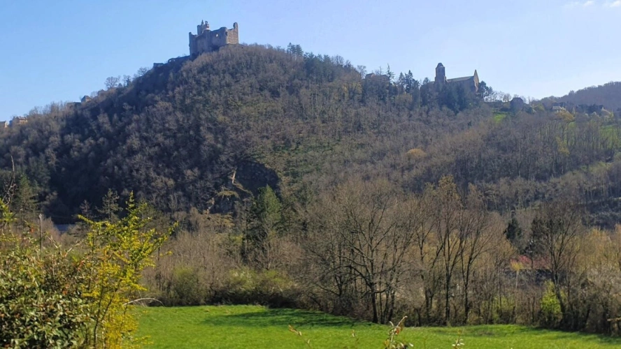 Photos 18 - Rurale - Najac. Propriété de caractère rénovée avec vue exceptionnelle