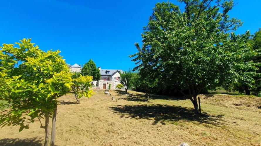 Photos 17 - Rurale - LUNAC  Propriété de caractère en pierre rénovée .220 m² habitables  Dépendances  Spa Terrain 1 805 m²