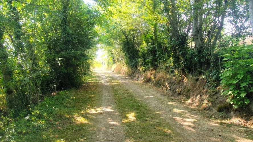 Photos 15 - Rurale - Ancien corps de ferme rénové.Cadre exceptionnel et authenticité préservée