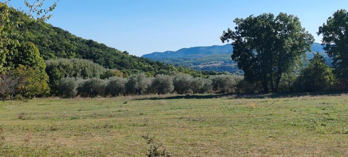 Photos 7 - Prestige - Ancien relais de poste avec domaine agricole à Forcalquier (04300)