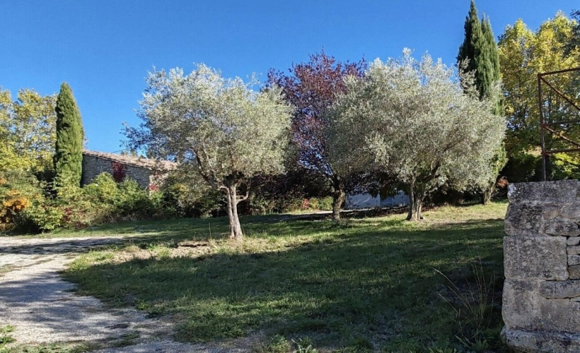 Photos 16 - Prestige - Ancien relais de poste avec domaine agricole à Forcalquier (04300)