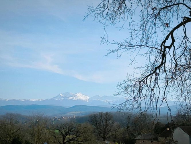 Photos 9 - Rurale - Jolie maison d'architecte face aux Pyrénées . 12910 M2