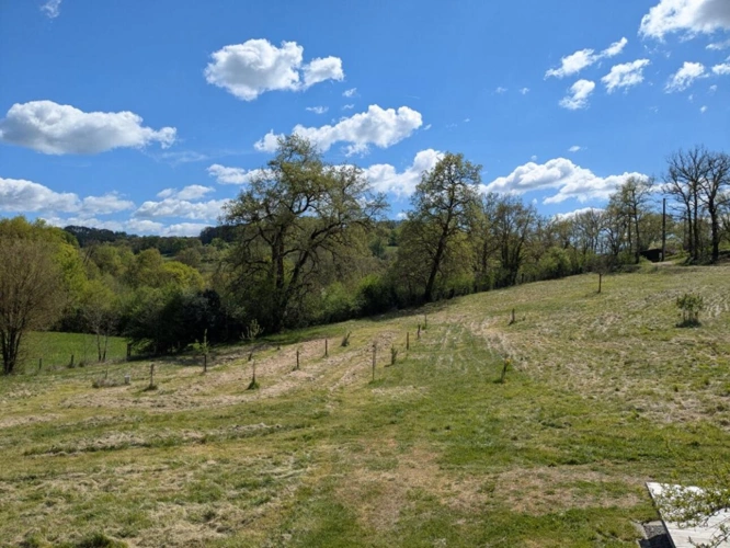 Photos 13 - Rurale - Maison en bois bioclimatique sur grand terrain