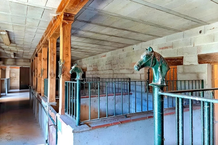 Photos 3 - Équestre - Domaine de 8,7 ha avec habitation, gîte, salle de réception et installations équestres