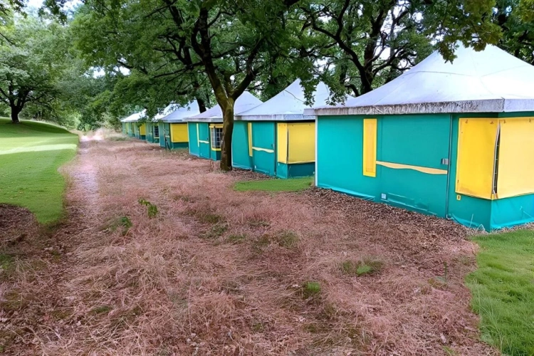 Photos 12 - Équestre - Domaine de 8,7 ha avec habitation, gîte, salle de réception et installations équestres