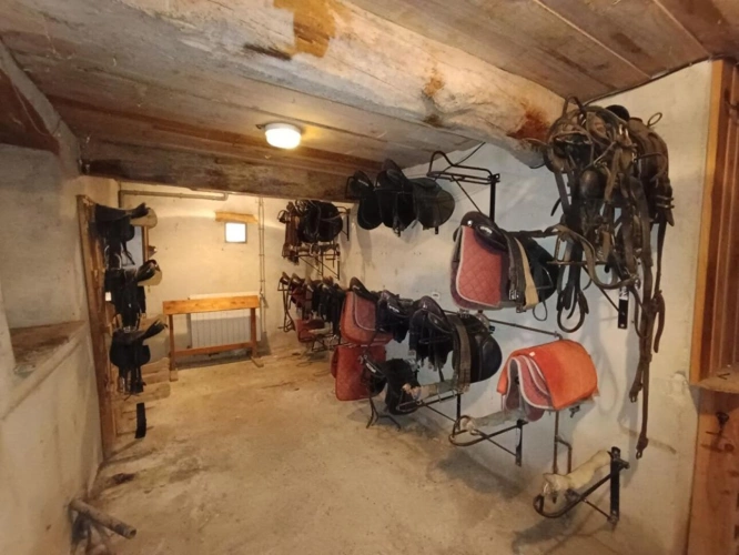 Photos 16 - Équestre - Domaine de 8,7 ha avec habitation, gîte, salle de réception et installations équestres