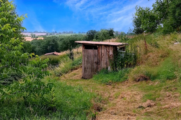 Photos 10 - Rurale - Terrain Mirandol Bourgnounac 10455 m2 dépendances, mare, terrasses