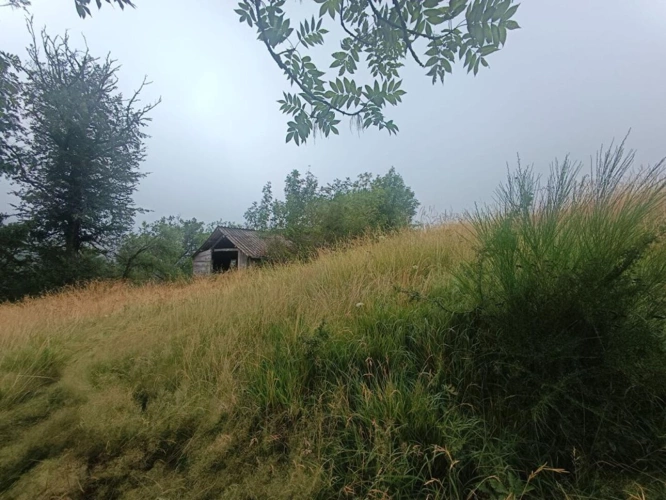 Photos 11 - Rurale - Corps de ferme