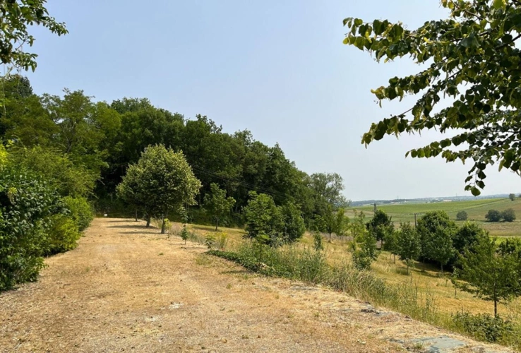 Photos 16 - Prestigious - 4-Bedroom Manor house, 1 outbuilding and large plot of land