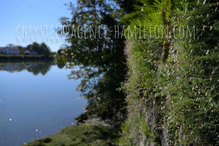 Photos 6 - Touristique - Sur les rives du Gave, 550 m² d'histoire réinventée, prêts à porter votre projet