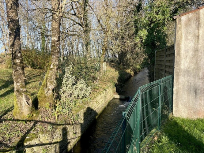 Photos 16 - Touristique - Ensemble de 2 maisons, 135 m² et 65 m², 3 km d'AULNAY et tous commerces, cadre très joli