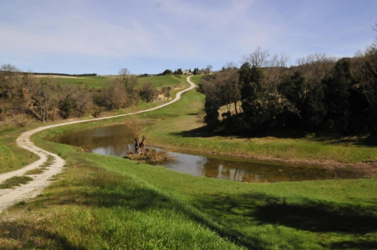 Photos 8 - Tourist - Estate with five houses set in 51 hectares of rolling countryside