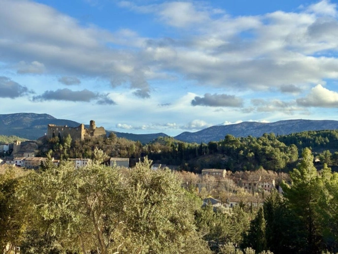 Photos 10 - Rurale - Splendide mas en pierre, piscine, vues sur les Corbières et le chateau