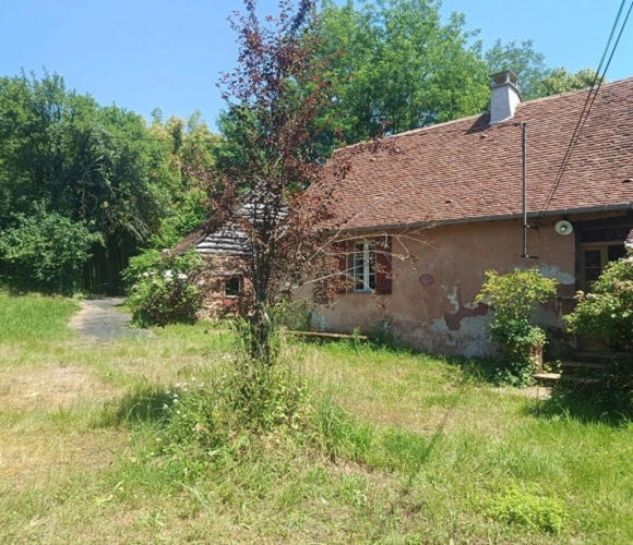 Photos 12 - Rurale - Maison de caractère avec ses dépendances en pleine nature