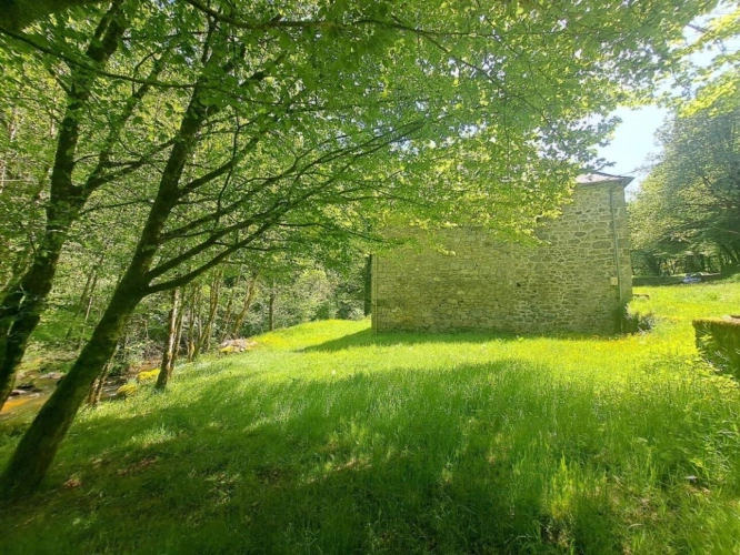 Photos 11 - Rurale - Magnifique ancien moulin rénové - La Roche Canillac